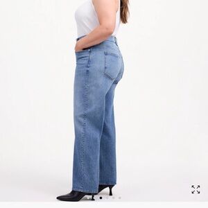 NEW Madewell The Plus Perfect Vintage Wide-Leg Jean